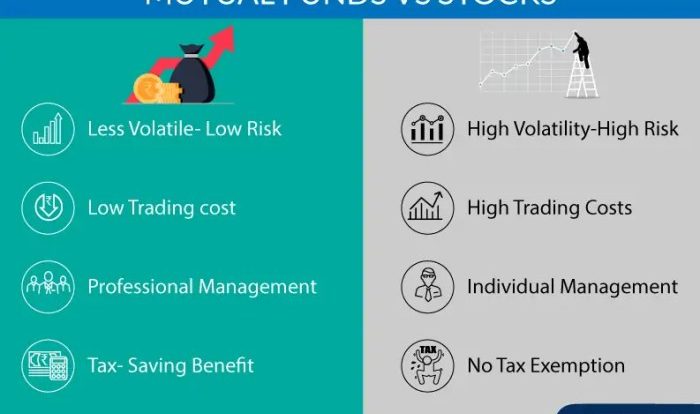 Stocks vs mutual funds venn diagram