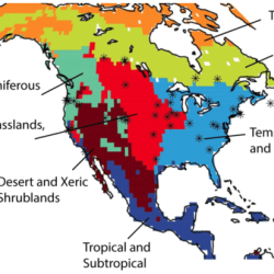 Biomes of north america pdf