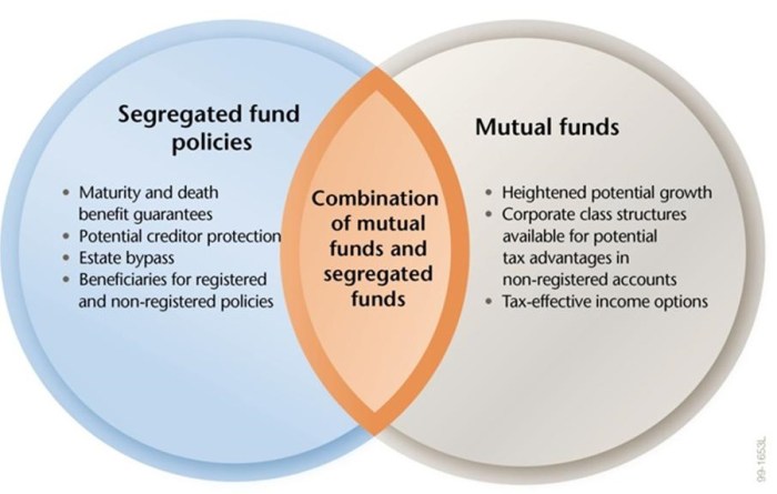 Stocks vs mutual funds venn diagram