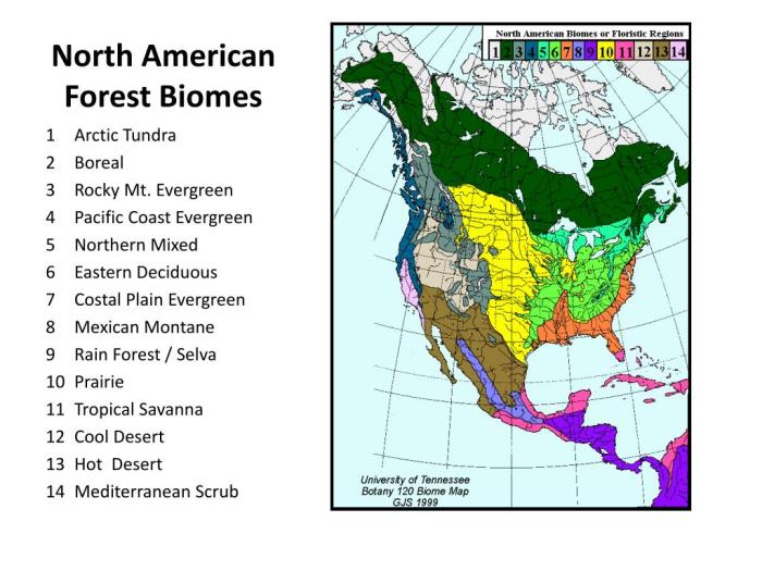 Biomes of north america pdf