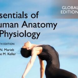 Fundamentals of anatomy and physiology 12th edition