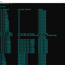 Netstat usage