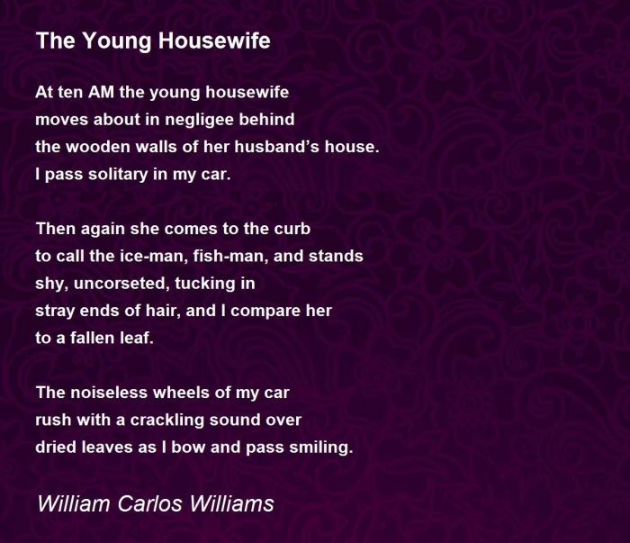 The young housewife by william carlos williams